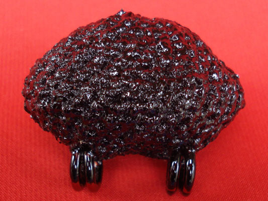 เบี้ยแก้ หลวงปู่เจือ วัดกลางบางแก้ว ถักเชือกชุบรักอย่างหนา แบบ 2 หู บูชาจากวัดโดยตรง