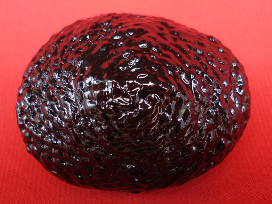 เบี้ยแก้ หลวงปู่เจือ วัดกลางบางแก้ว ถักเชือกชุบรักอย่างหนา แบบ 2 หู บูชาจากวัดโดยตรง 1