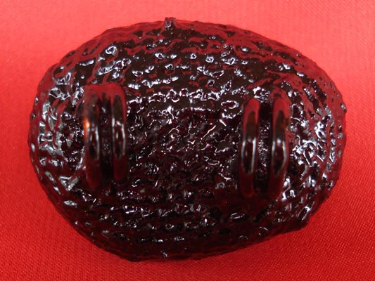 เบี้ยแก้ หลวงปู่เจือ วัดกลางบางแก้ว ถักเชือกชุบรักอย่างหนา แบบ 2 หู บูชาจากวัดโดยตรง 2