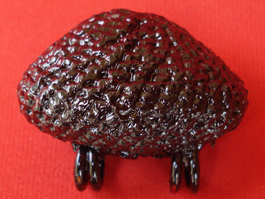 เบี้ยแก้ หลวงปู่เจือ วัดกลางบางแก้ว ถักเชือกชุบรักอย่างหนา แบบ 2 หู บูชาจากหลวงปู่โดยตรง