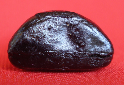 1ใน5 เบญจภาคี พระปิดตา หลวงปู่เอี่ยม วัดสะพานสูง เนื้อผงชุบรัก รุ่น ๑๑๒ ปี พิมพ์ชลูด สร้างปี 2551 2