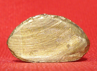 หลวงพ่อเงิน บางคลาน ปี 15 เนื้อทองเหลือง พิมพ์มือติงนัง ออกวัดวังกระทึง ใช้แทน ปี 15 บางคลานได้ 2