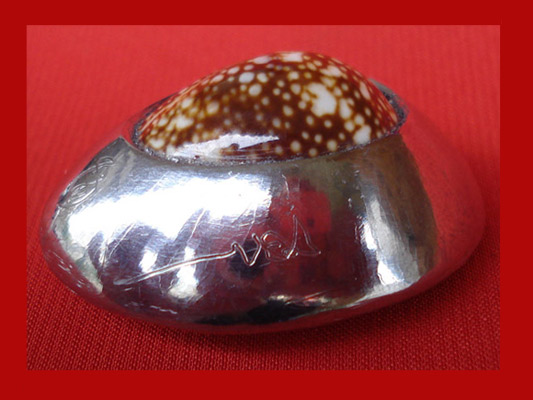 เบี้ยแก้หลวงปู่เจือ วัดกลางบางแก้ว ตะกั่วเปลีอยเปิดหลังเห็นลายเบี้ย พร้อมหลวงปู่จาร สวยมากครับ