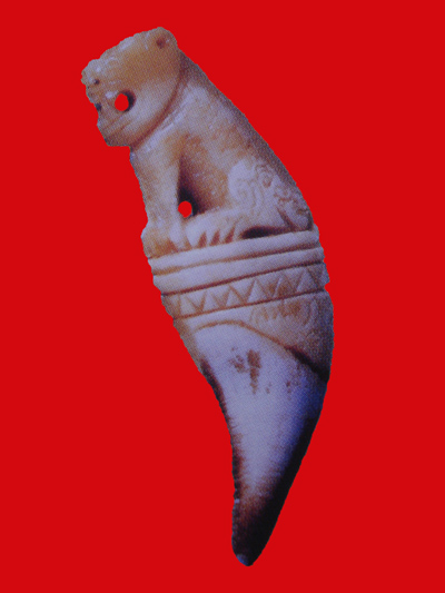 พยัคฆ์เขี้ยวแก้ว แกะจากเขี้ยวหมี หลวงปู่กาหลง รุ่นมหาบารมี ปี 48 สวยเข้มขลัง หายาก 1