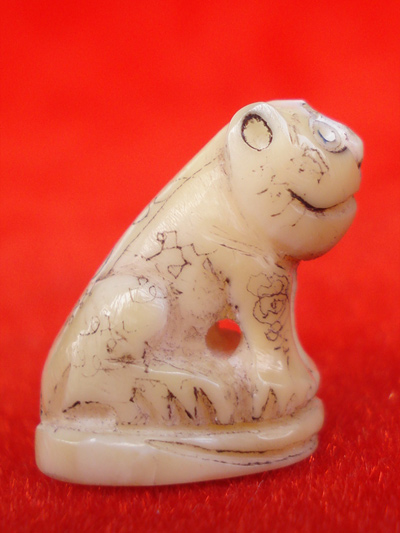 พยัคฆ์เขี้ยวแก้ว เสือแกะจากเขี้ยวแท้ หลวงปู่กาหลง วัดเขาแหลม รุ่นมหาบารมี ปี 48 สวยเข้มขลัง หายาก