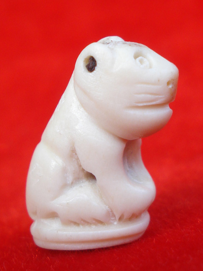 เสือแกะจากเขากวาง พร้อมจาร หลวงพ่อสิน วัดละหารใหญ่ เกจิดังสายหลวงปู่ทิม วัดละหารไร่ สวยมากหายาก