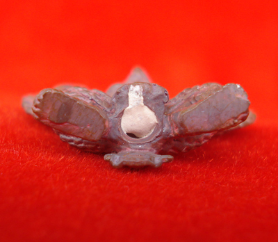 พญาครุฑมหาอำนาจ รุ่นแรก เนื้อทองแดงเถื่อนอุดผง พ่อท่านพรหม วัดพลานุภาพ ปี 2554 สุดสวย 2