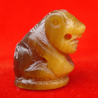 เสือแกะจากเขาควายเผือก อุดผง ตัวใหญ่ สีทูโทน หลวงพ่อสิน วัดละหารใหญ่ ทายาทหลวงปู่ทิม สวยมากหายาก 1