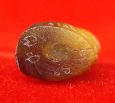 เสือแกะจากเขาควายเผือก อุดผง ตัวใหญ่ สีทูโทน หลวงพ่อสิน วัดละหารใหญ่ ทายาทหลวงปู่ทิม สวยมากหายาก 4