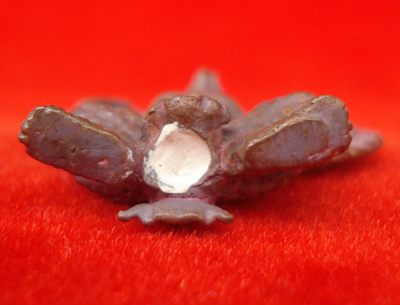 พญาครุฑมหาอำนาจ รุ่นแรก เนื้อทองแดงเถื่อนอุดผง พ่อท่านพรหม วัดพลานุภาพ ปี 2554 สุดสวย 2