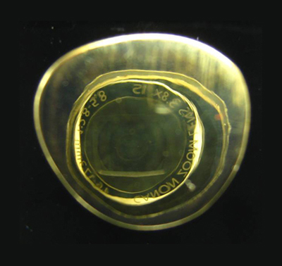 หลวงปู่ทวดพิมพ์บัวรอบ เนื้อทองฝาบาตรขัดเงา รุ่นแรก 84 พรรษา สมเด็จพระสังฆราช ปี 40 สวยพิธีใหญ่ 2