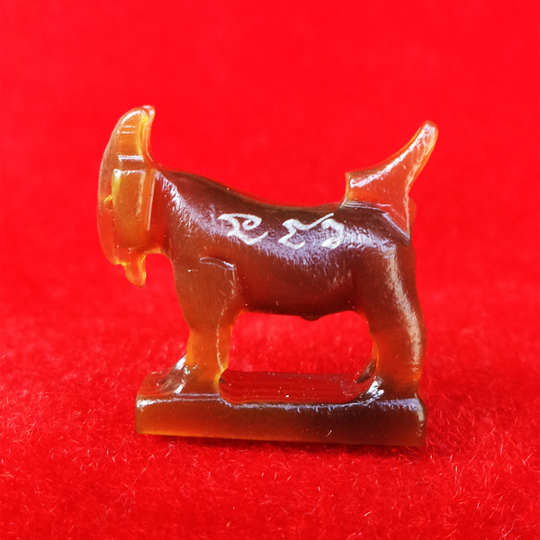 แพะ เขาควายเผือกสีน้ำผึ้ง หลวงพ่อสิน วัดละหารใหญ่ เกจิดังสายตะวันออก มีจารรอบตัว สวยมากหายาก