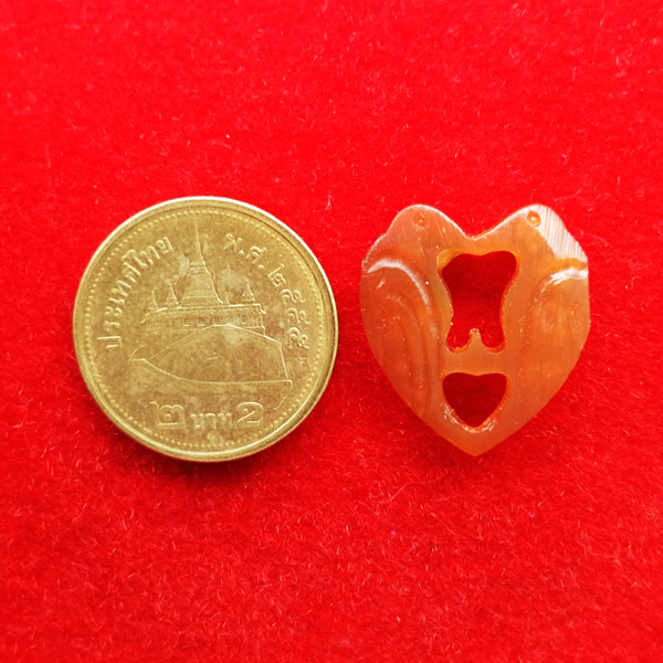 สาริกาแกะจากเขาควายเผือก สีน้ำผึ้ง หลวงพ่อสิน วัดละหารใหญ่ ทายาทหลวงปู่ทิม จารชัด สวยมากหายาก 3