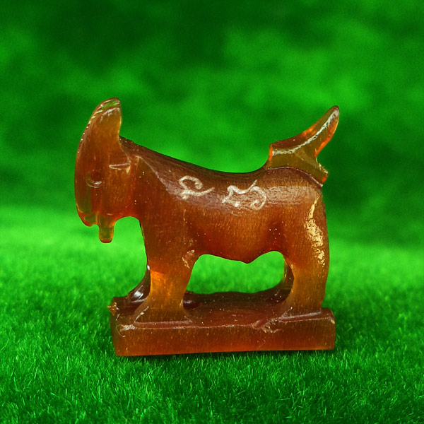 แพะ เขาควายเผือกสีน้ำผึ้ง หลวงพ่อสิน วัดละหารใหญ่ เกจิดังสายตะวันออก มีจารรอบตัว สวยมากหายาก