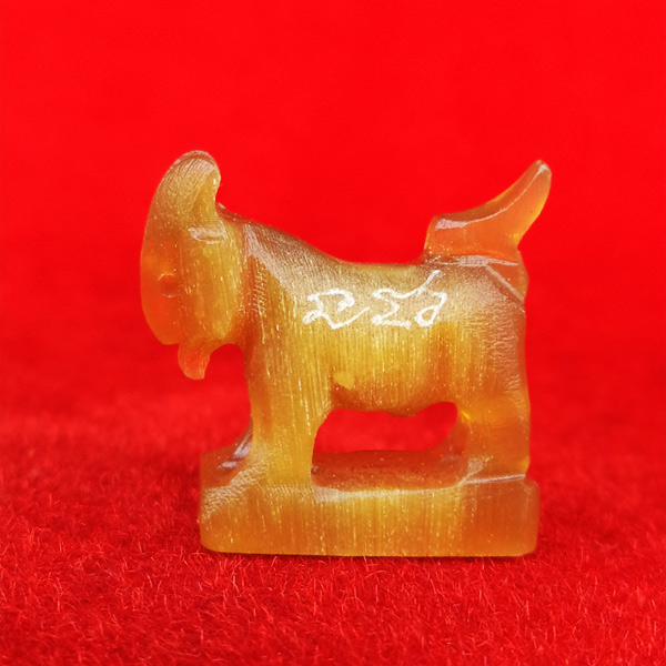 แพะ เขาควายเผือกสีน้ำผึ้ง ตัวใหญ่ยาว 2.3 ซม.หลวงพ่อสิน วัดละหารใหญ่ มีจารรอบตัว สวยมากหายาก 1