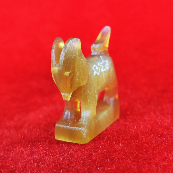 แพะ เขาควายเผือกสีน้ำผึ้ง ตัวใหญ่ยาว 2.3 ซม.หลวงพ่อสิน วัดละหารใหญ่ มีจารรอบตัว สวยมากหายาก 2