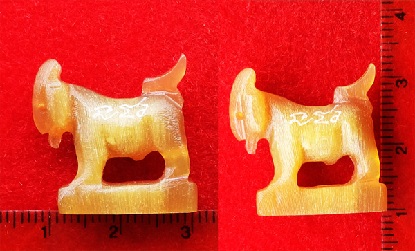 แพะ เขาควายเผือกสีน้ำผึ้ง ตัวใหญ่ยาว 2.3 ซม.หลวงพ่อสิน วัดละหารใหญ่ มีจารรอบตัว สวยมากหายาก 5