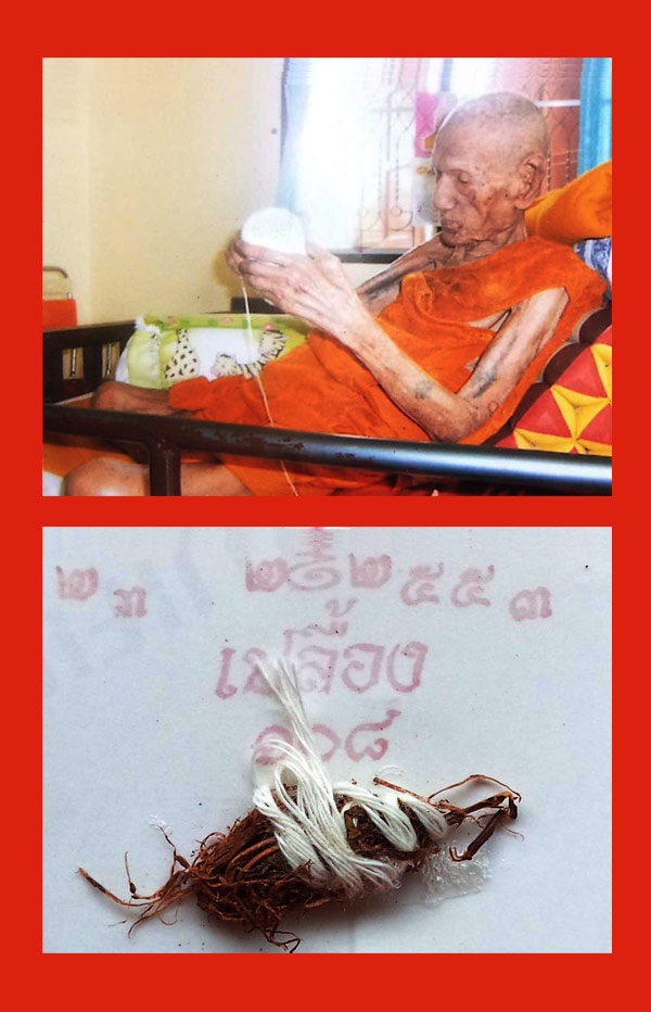 เขี้ยวเสือแกะจากเขากวาง หลวงพ่อเปลื้อง วัดลาดยาว เกจิดังอายุกว่า 108 ปี สวยมาก สำหรับปีนี้ต้องบูชา 3