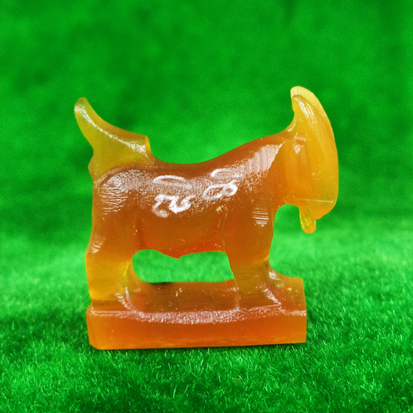 แพะ เขาควายเผือกสีน้ำผึ้ง ตัวใหญ่ยาว 2.0 ซม.หลวงพ่อสิน วัดละหารใหญ่ มีจารรอบตัว สวยมากหายาก