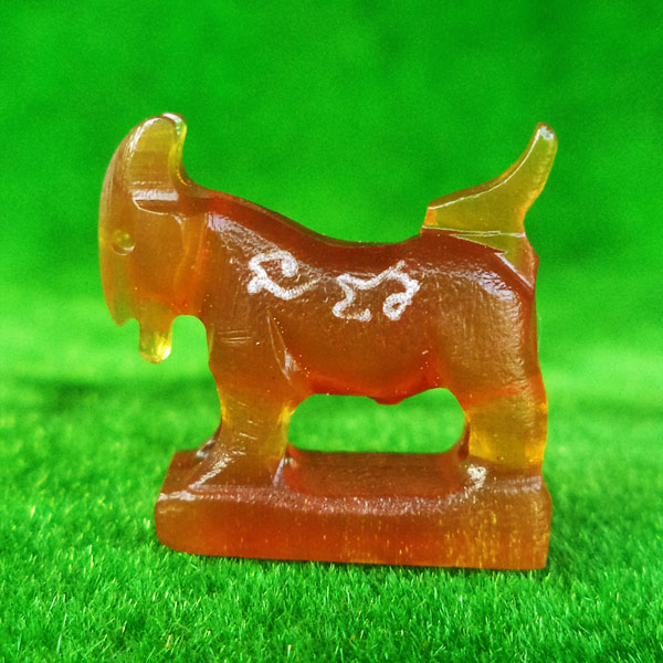 แพะ เขาควายเผือกสีน้ำผึ้ง ตัวใหญ่ยาว 1.9 ซม.หลวงพ่อสิน วัดละหารใหญ่ มีจารรอบตัว สวยมากหายาก