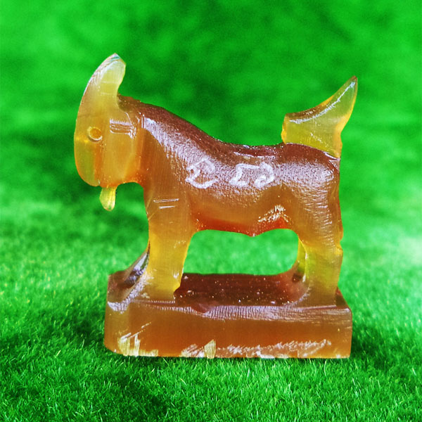 แพะ เขาควายเผือกสีน้ำผึ้ง ตัวใหญ่ยาว 2.3 ซม.หลวงพ่อสิน วัดละหารใหญ่ มีจารรอบตัว สวยมากหายาก