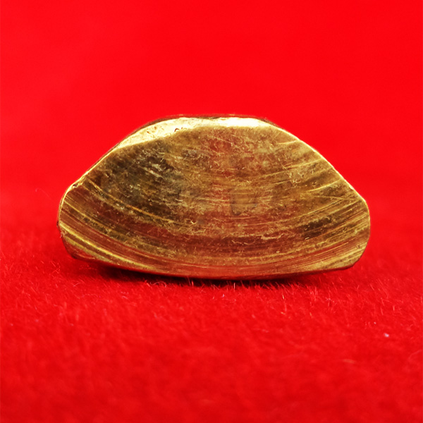 หลวงพ่อเงิน บางคลาน ปี 15 ออกวัดท้ายน้ำ พิมพ์หน้าแก่ ปลุกเสกพิธีเดียวกับ 15 บางคลาน สวยแชมป์ 4