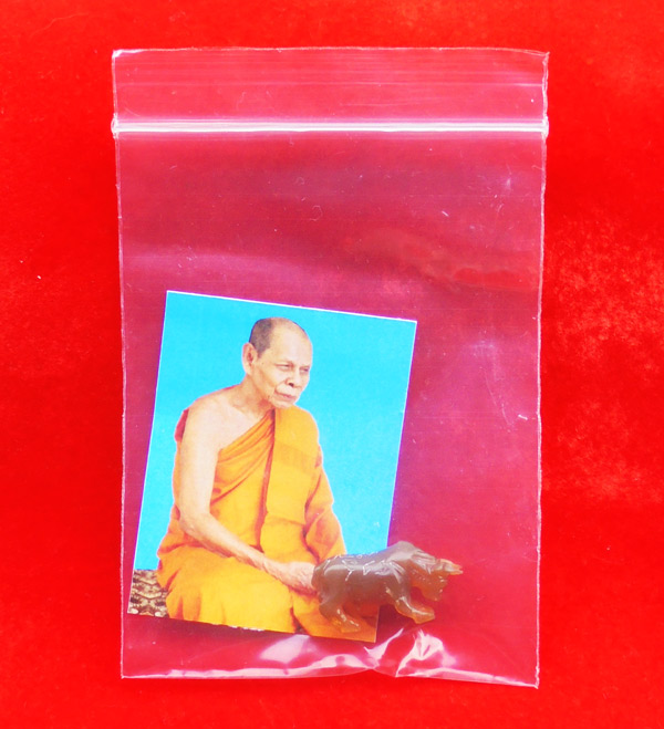 วัวธนู แกะจากเขาควายเผือก สีน้ำผึ้ง พร้อมจาร หลวงพ่อสิน วัดละหารใหญ่ เกจิสายหลวงปู่ทิม สวยมากหายาก 6