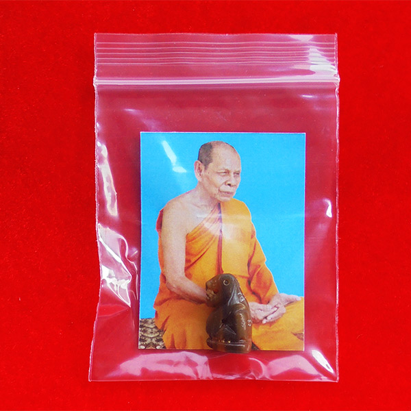 เสือแกะจากเขาควายเผือก มีจาร ตัวใหญ่ สีน้ำผึ้ง หลวงพ่อสิน วัดละหารใหญ่ ทายาทหลวงปู่ทิม สวยมากหายาก 6