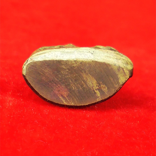 รูปหล่อปั๊มหลวงพ่อเงิน บางคลาน ปี 15 วัดบึงนาราง เนื้อทองเหลืองกะไหล่ทอง ผิวสวยมาก น่าบูชา 11 2