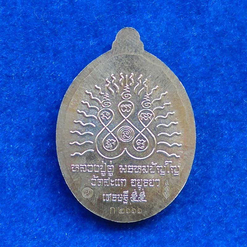 เหรียญหลวงพ่อทวด เปิดโลกเศรษฐี ๕๕ รูปใข่ วัดสะแก เนื้ออัลปาก้า กรรมการ เลข ก ๒๖๖๖ สุดสวย 1