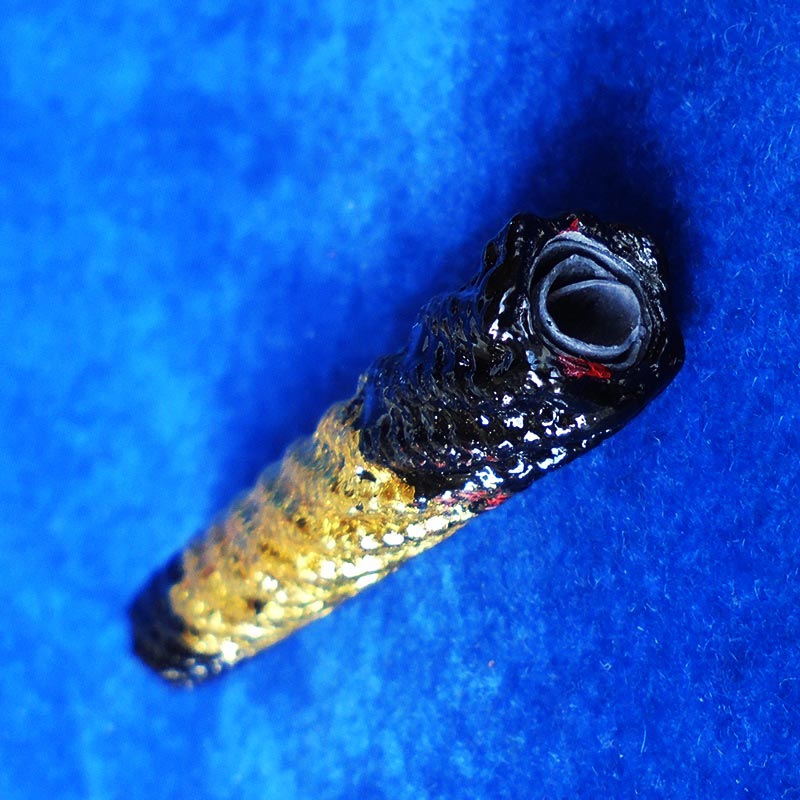 ตะกรุดดำ ยาว 3 นิ้ว หลวงพ่อจำลอง วัดเจดีย์แดง อยุธยา พุทธคุณสูง หายาก 3 2