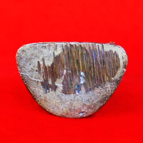 รูปหล่อ สมเด็จโต วัดระฆัง เนื้อนวโลหะ รุ่นมงคลเกษม 60 พรรษา สร้างปี พ.ศ.2536 2