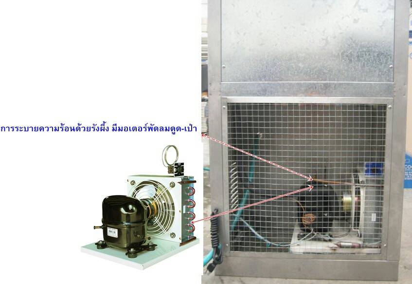 ตู้ทำน้ำร้อน น้ำเย็น MAXCOOL แบบต่อท่อประปา รุ่น MCH-5P 3