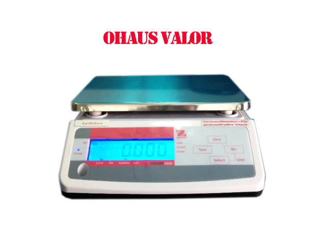Ohaus Weighing Scale