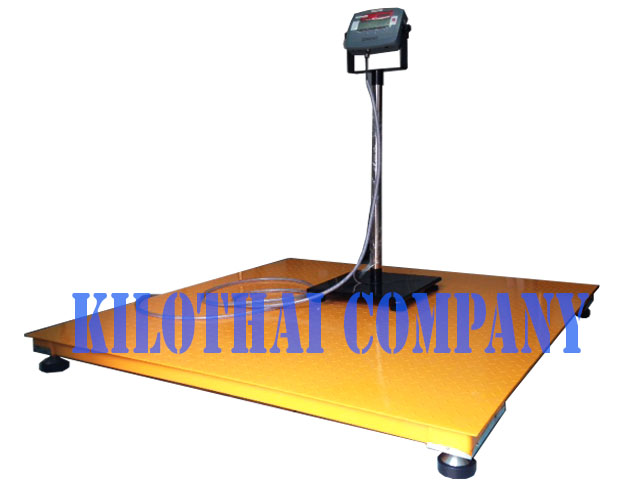 Ohaus D31P 2
