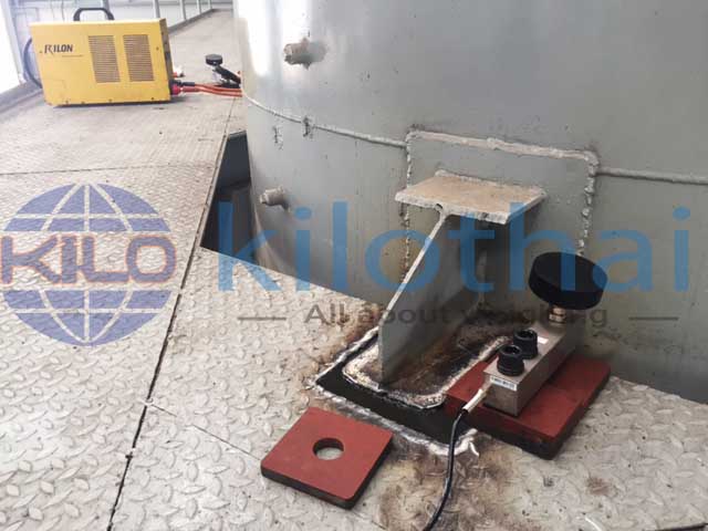 5t Zemic loadcell 2