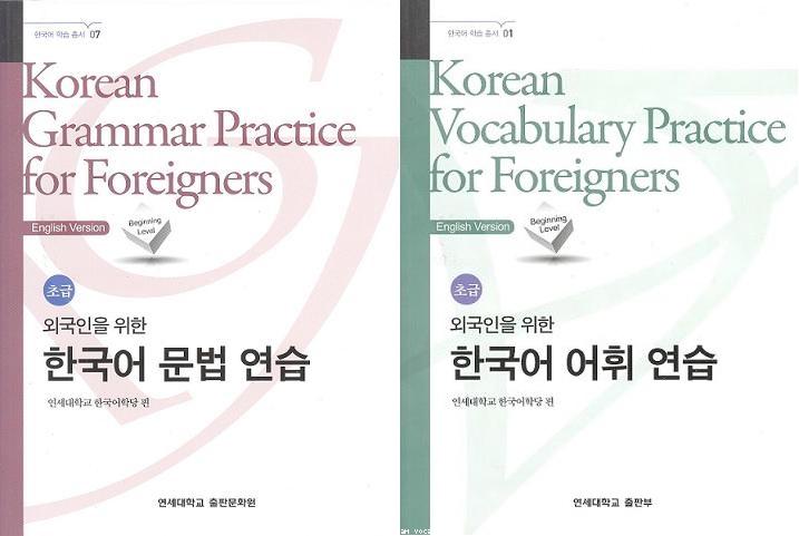 Korean Grammar and Vocabulary Practice for Foreigners : Beginning Level