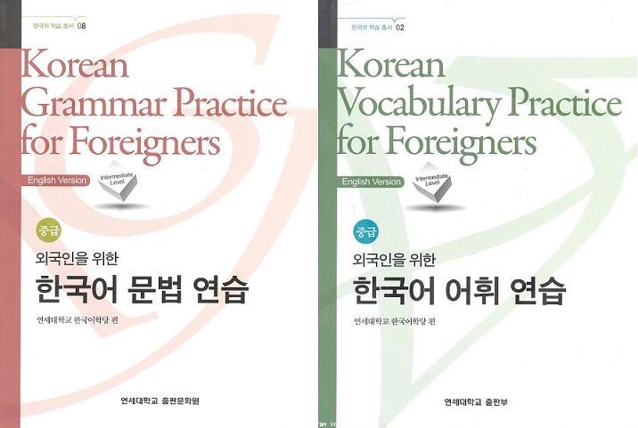 Korean Grammar and Vocabulary Practice for Foreigners : Intermediate Level