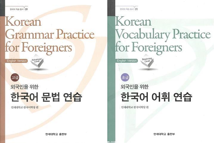Korean Grammar and Vocabulary Practice for Foreigners : Beginning-Advanced Level