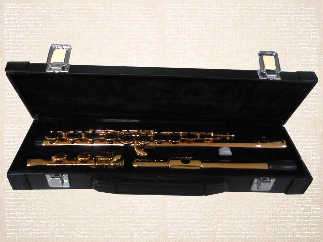 ZFL-525Q (16 closed Holes With E Mechanism Tone)