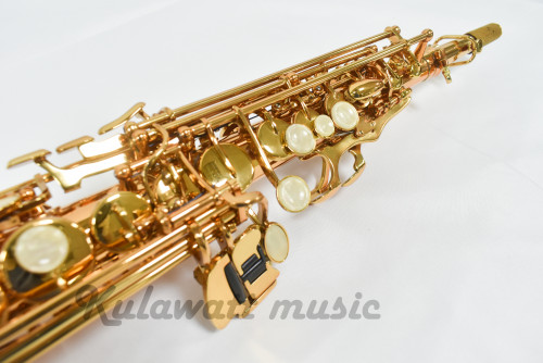 Antonie SP-850GL 1