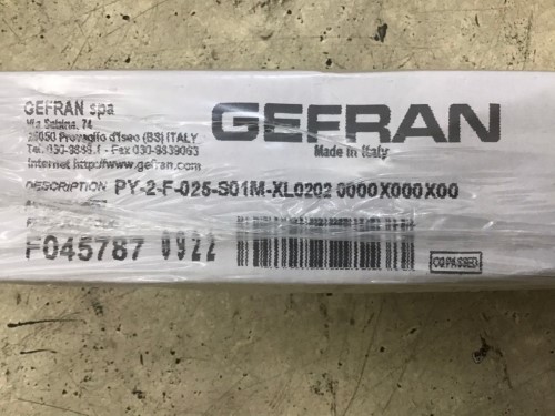 GEFRAN PY-2-F-025-S01M-XL0202 ราคา 4,950 บาท