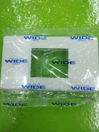 PANASONIC WEG 68029WK ฝาพลาสติก 2 ช่องกลาง (สีขาว) ราคา 20 บาท