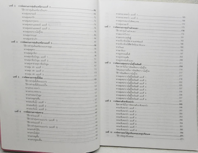 การจัดพาน (ดอกไม้) 3