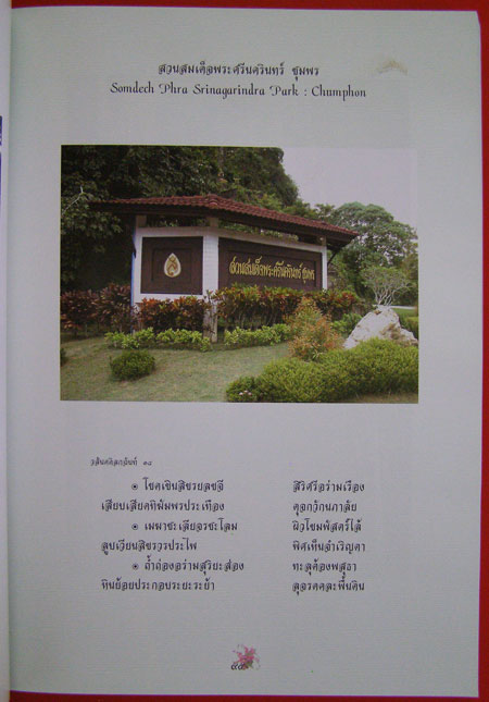 สวนสมเด็จพระศรีนครินทร์ 10