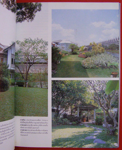 คอลเล็คชั่น แอนด์ เฮ้าส์ ปีที่ 6 ฉบับพิเศษ / บ้านริมน้ำ 9