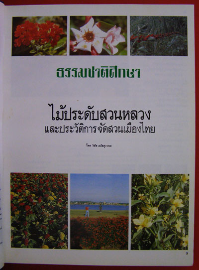 ไม้ประดับสวนหลวงและประวัติการจัดสวนเมืองไทย 3