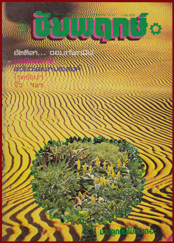 ชัยพฤกษ์ ปีที่ 27 ฉบับที่ 11 / 22 มีนาคม 2523