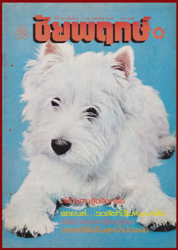 ชัยพฤกษ์ ปีที่ 26 ฉบับที่ 31 / 22 สิงหาคม 2522