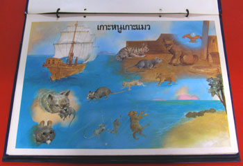 ภาพพลิกชุดภาษาไทย สำหรับชั้นประถมศึกษาปีที่ ๕ 4